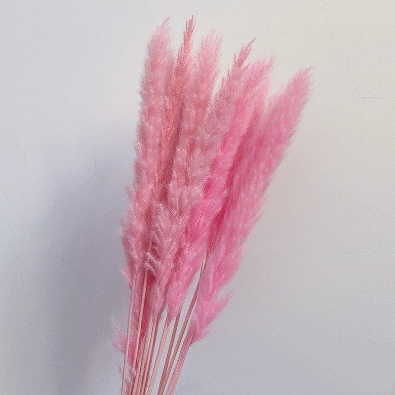 Dried Flower Decoration Small Reed Home Pampas Grass