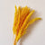 Dried Flower Decoration Small Reed Home Pampas Grass